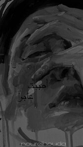 أحببت عابراً