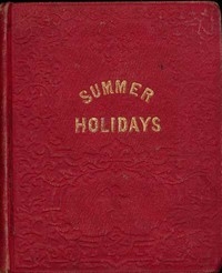 The Summer Holidays: A Story for Children