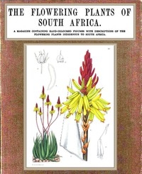 The Flowering Plants of South Africa; vol. 2