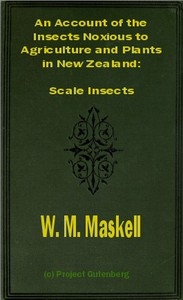 An Account of the Insects Noxious to Agriculture and Plants in New Zealand The Scale Insects (Coccididae)