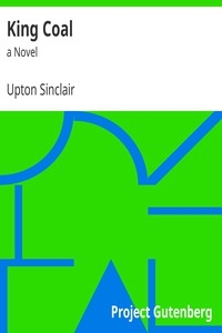 King Coal : a Novel