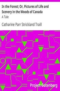 In The Forest; Or, Pictures Of Life And Scenery In The Woods Of Canada: A Tale