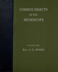 Common Objects of the Microscope
