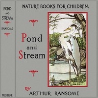 Pond and Stream