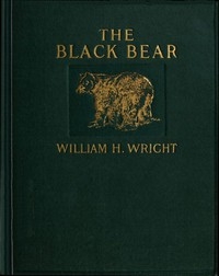 The Black Bear