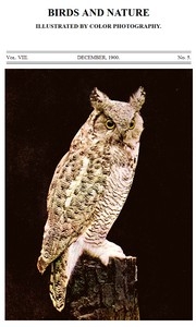 Birds and Nature, Vol. 08, No. 5, December 1900 Illustrated by Color Photography