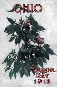 Ohio Arbor Day 1913: Arbor and Bird Day Manual Issued for the Benefit of the Schools of our State
