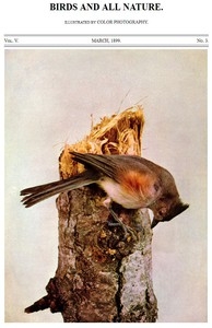 Birds and All Nature, Vol. 5, No. 3, March 1899 Illustrated by Color Photography