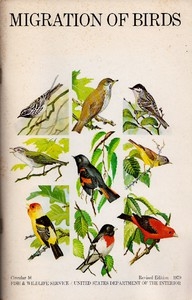 Migration of Birds (1979)