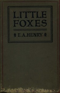 Little Foxes: Stories for Boys and Girls