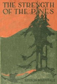The Strength of the Pines