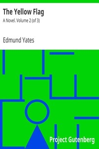 The Yellow Flag: A Novel. Volume 2 (of 3)