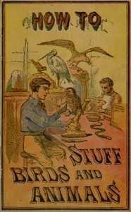 How to Stuff Birds and Animals A valuable book giving instruction in collecting, preparing, mounting, and preserving birds, animals, and insects