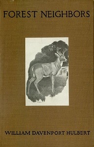 Forest Neighbors: Life Stories of Wild Animals