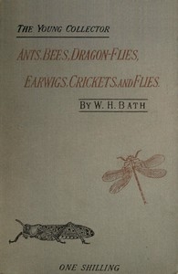 The Young Collector's Handbook of Ants, Bees, Dragon-flies, Earwigs, Crickets, and Flies (Hymenoptera, Neuroptera, Orthoptera, Hemiptera, Diptera).