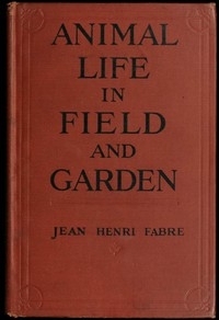 Animal Life in Field and Garden