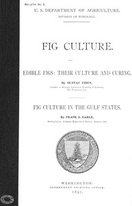 Fig Culture Edible Figs: Their Culture and Curing. Fig Culture in the Gulf States.