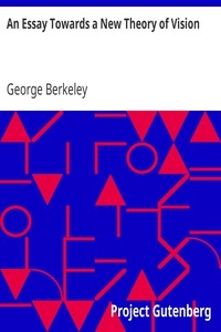 An Essay Towards a New Theory of Vision
