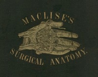 Surgical Anatomy