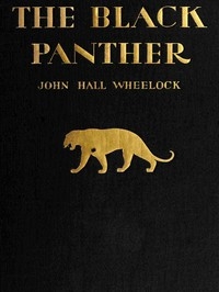 The Black Panther: A book of poems