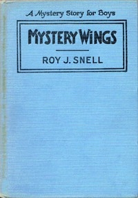 Mystery Wings A Mystery Story for Boys
