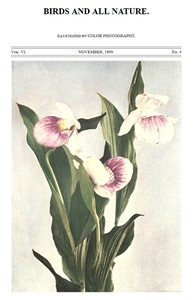 Birds and All Nature, Vol. 6, No. 4, November 1899 In Natural Colors