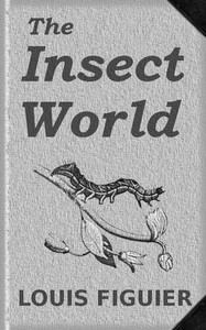The Insect World Being a Popular Account of the Orders of Insects; Together with a Description of the Habits and Economy of Some of the Most Interesting Species