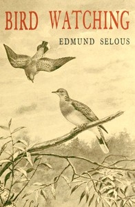 Bird Watching