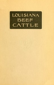 Louisiana Beef Cattle
