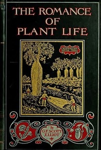 The Romance of Plant Life Interesting Descriptions of the Strange and Curious in the Plant World
