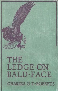 The Ledge on Bald Face
