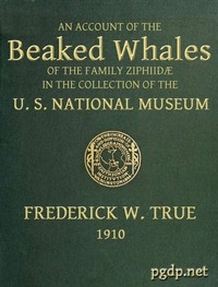 The Beaked Whales of the Family Ziphiidae An Account of the Beaked Whales of the Family Ziphiidae in the Collection of the United States Museum...