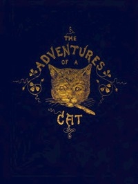 The Adventures Of A Cat, And A Fine Cat Too!