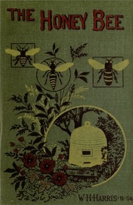 نحلة العسل: طبيعتها وبيوتها ومنتجاتها