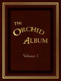 The Orchid Album, Volume 1 Comprising Coloured Figures and Descriptions of New, Rare, and Beautiful Orchidaceous Plants