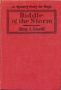 Riddle of the Storm A Mystery Story for Boys