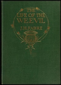 The Life of the Weevil