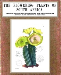 The Flowering Plants of South Africa; vol. 3