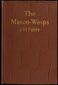 The Mason-Wasps