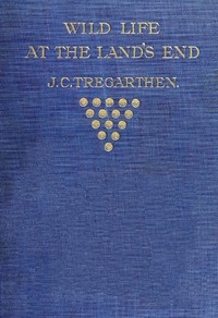 Wild Life at the Land's End Observations of the Habits and Haunts of the Fox, Badger, Otter, Seal, Hare and of Their Pursuers in Cornwall