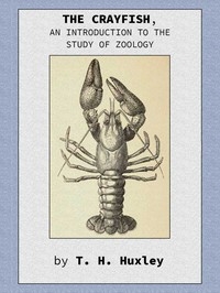 The Crayfish: An Introduction to the Study of Zoology.