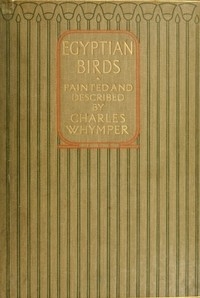 Egyptian Birds For the most part seen in the Nile Valley