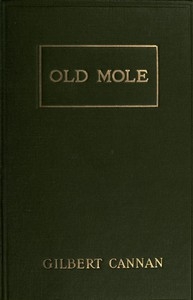 Old Mole Being the Surprising Adventures in England of Herbert Jocelyn Beenham, M.A., Sometime Sixth-Form Master at Thrigsby Grammar School in the County of Lancaster