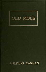 Old Mole Being the Surprising Adventures in England of Herbert Jocelyn Beenham, M.A., Sometime Sixth-Form Master at Thrigsby Grammar School in the County of Lancaster