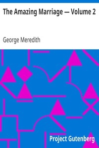 The Amazing Marriage — Volume 2