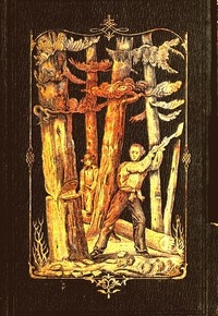 Forest Life and Forest Trees: comprising winter camp-life among the loggers, and wild-wood adventure. with Descriptions of lumbering operations on the various rivers of Maine and New Brunswick
