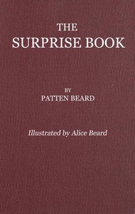 The Surprise Book