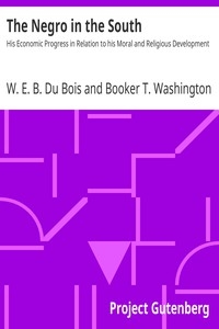 The Negro in the South His Economic Progress in Relation to his Moral and Religious Development