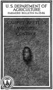 Carpet Beetles and Their Control