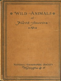 Wild Animals of North America Intimate Studies of Big and Little Creatures of the Mammal Kingdom
